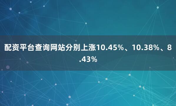 配资平台查询网站分别上涨10.45%、10.38%、8.43%