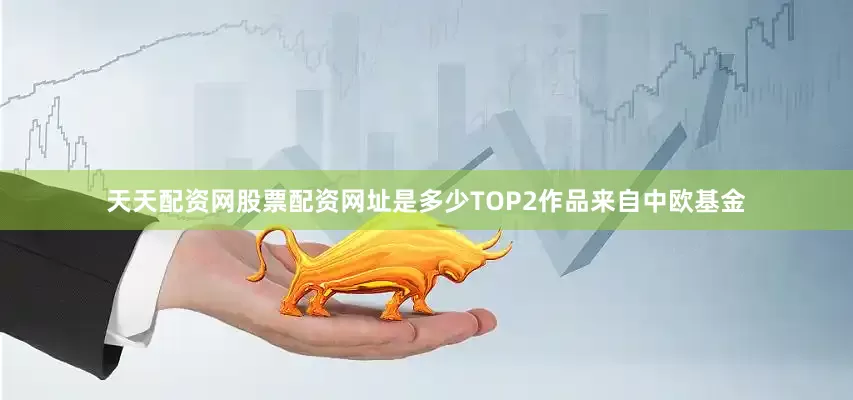 天天配资网股票配资网址是多少TOP2作品来自中欧基金